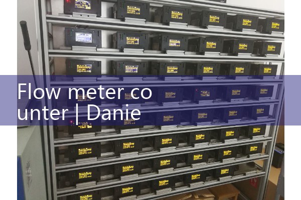 Flow meter counter